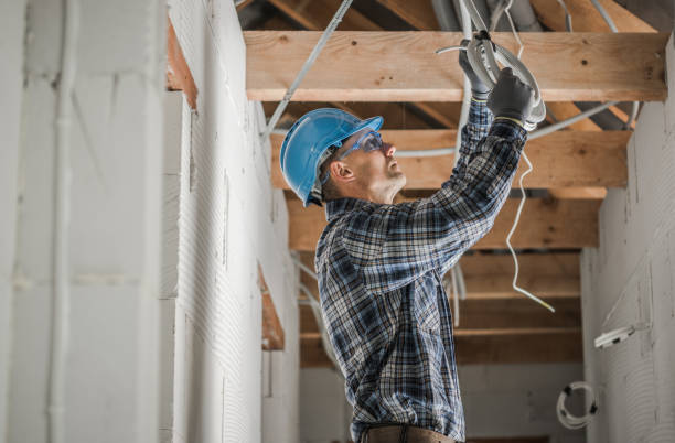 Best Generator Installation Services  in Skidway Lake, MI