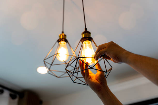 Best Affordable Electrician  in Skidway Lake, MI