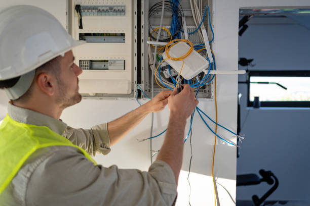 Best Home Electrical Repair  in Skidway Lake, MI